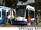 NL000139.jpg