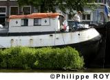 NL000229.jpg