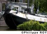 NL000233.jpg