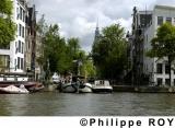 NL000238.jpg